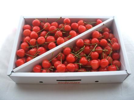 佐藤錦 秀L バラ1kg